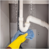 강동구하수구 PC 갤러리 10